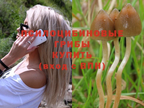 ешки Аркадак