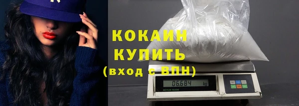 индика Арсеньев