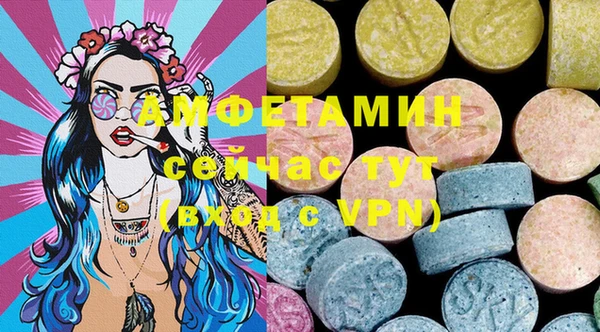 индика Арсеньев