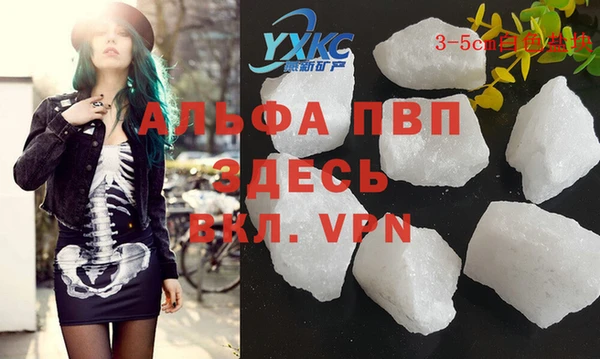 индика Арсеньев