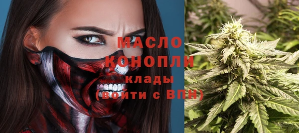 индика Арсеньев