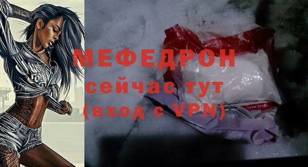 индика Арсеньев